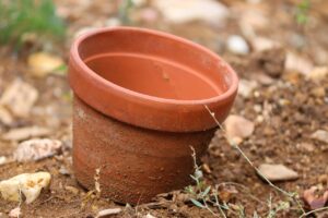 Vaso con terriccio universale, confronto con terra da giardino che diventa cemento.