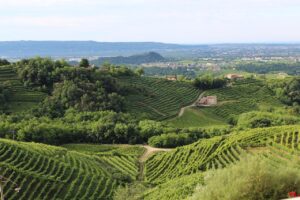 Panorama delle colline del Prosecco, con vigneti e cantine, patrimonio UNESCO.