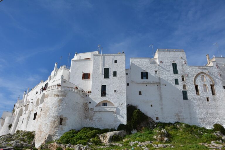 Vista panoramica della città bianca di Locorotondo, Puglia, con architettura caratteristica e strade tranquille.